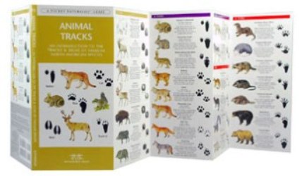 Pocket Naturalist: Animal Tracks Books & Maps - The Mountain Wanderer